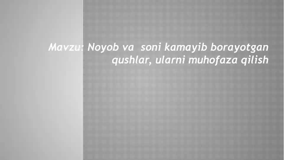 Noyob va soni kamayib borayotgan qushlar, ularni muhofaza qilish