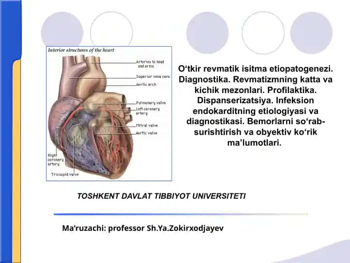 Revmatizmning etiopatogenezi