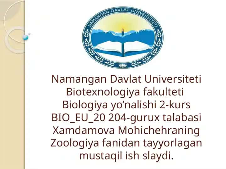 Qushlarning uchishga moslashganlik belgilari va turli-tumanligi