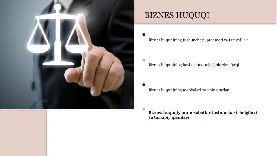 BIZNES HUQUQI