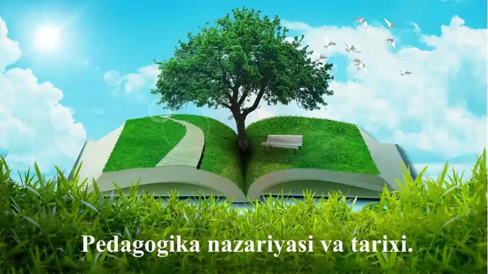 Pedagogika nazariyasi va tarixi