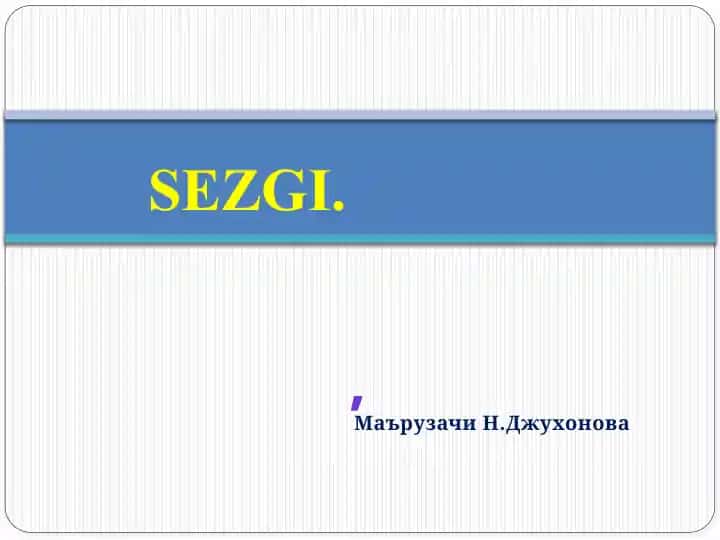 Sezgilar haqida umumiy tushuncha