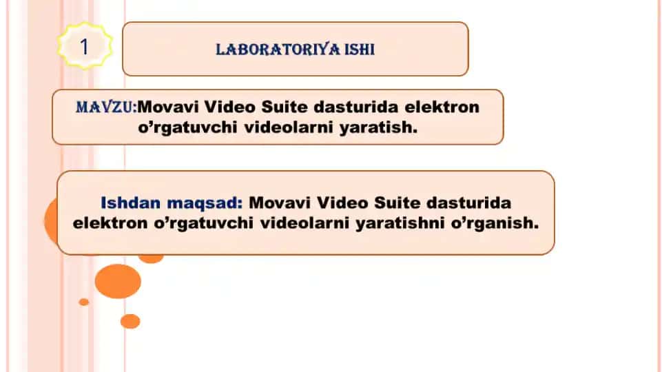 Movavi Video Suite