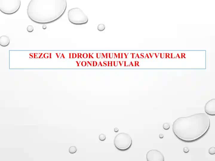 SEZGI VA IDROK UMUMIY TASAVVURLAR YONDASHUVLAR