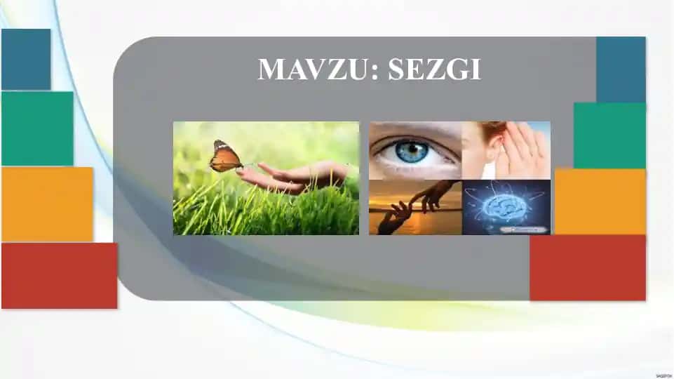 Sezgi jarayonlari
