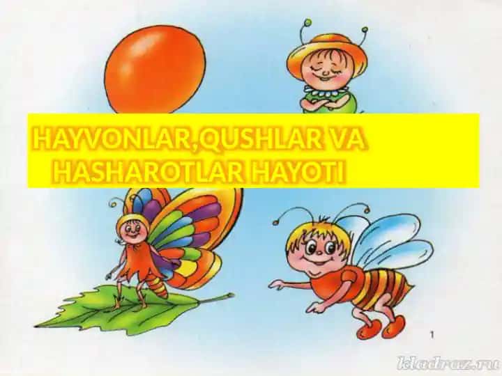 HAYVONLAR,QUSHLAR VA HASHAROTLAR HAYOTI