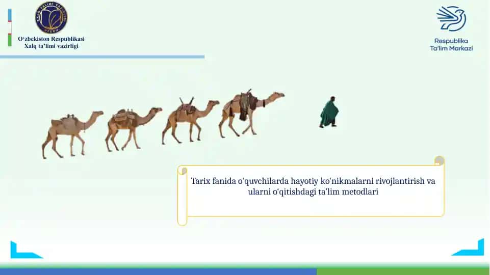 Ta'lim Sifatini Nazorat Qilish Davlat Inspektsiyasi