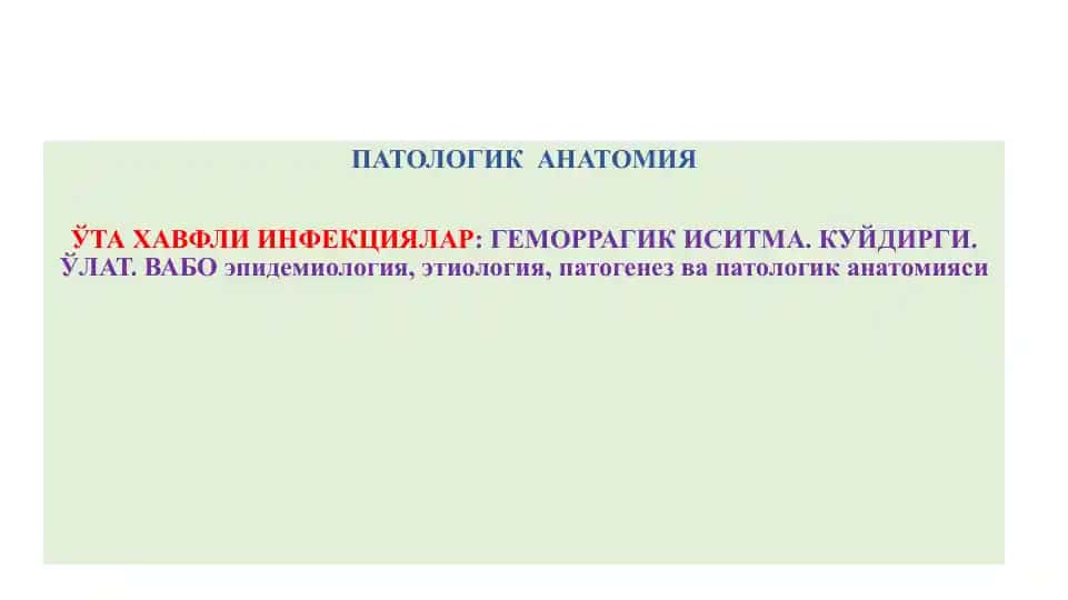 Уттахавфли инфекциялар: геморрагик иситма