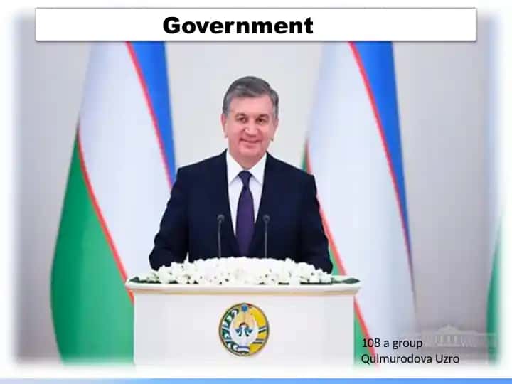 Government