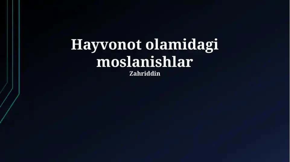 Hayvonot olamidagi moslanishlar