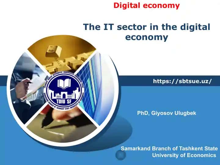 IT sector in the digital economy