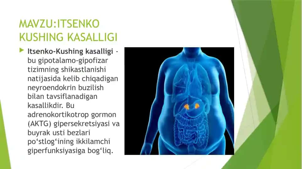 Itsenko Kushing kasalligi