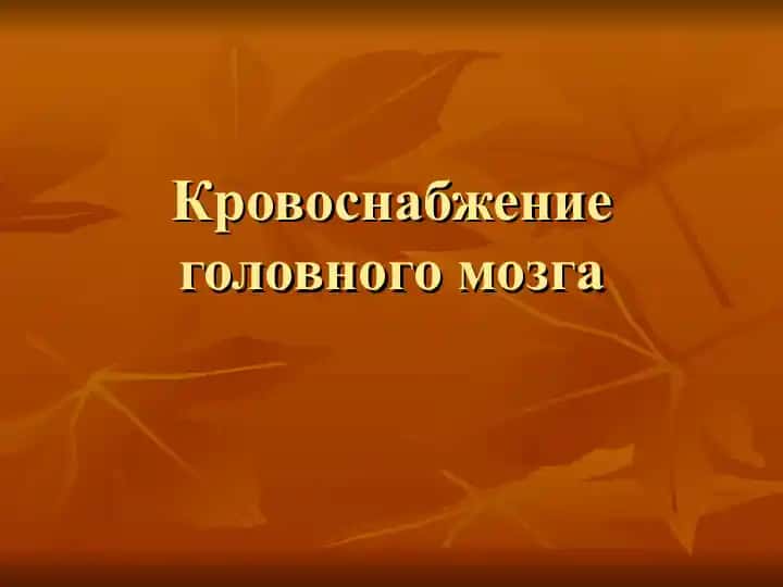 Кровоснабжение головного мозга