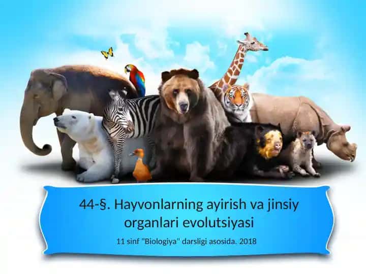 Hayvonlarning ayirish va jinsiy organlari evolutsiyasi