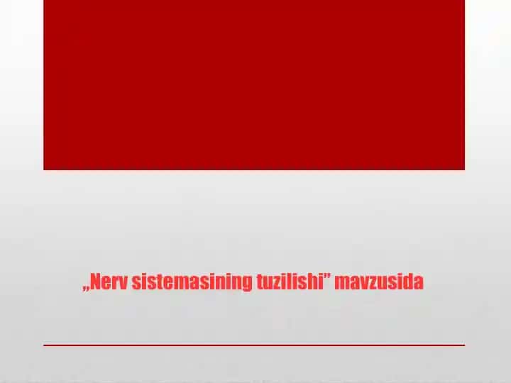 Nerv sistemasining tuzilishi
