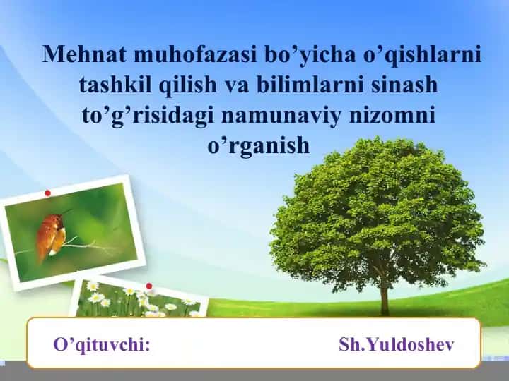 Mehnat muhofazasi bo’yicha o’qishlarni tashkil qilish va bilimlarni sinash