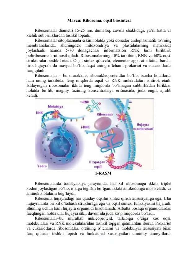 Ribosoma