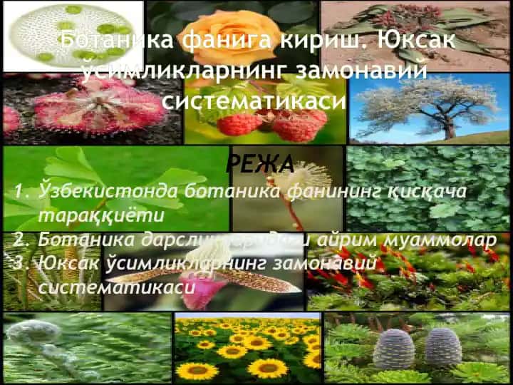 Ботаника фанига кириш. Юксак ўсимликларнинг замонавий систематикаси