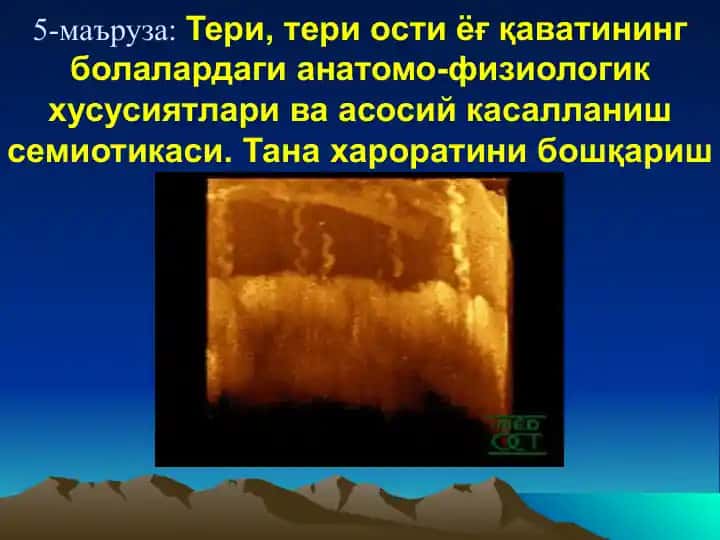 Тери тананинг ҳамма аъзолари ва тизимлари