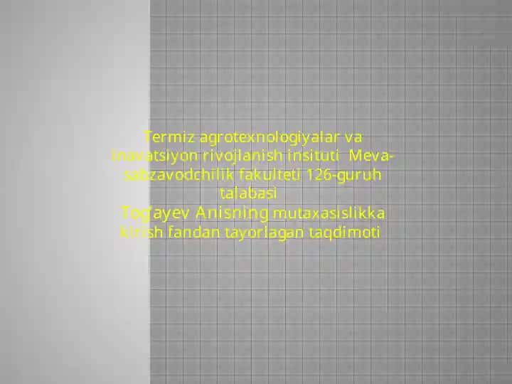 Meva-sabzavotlar saqlash omborlari va ularni tashkil etishning turli usullari