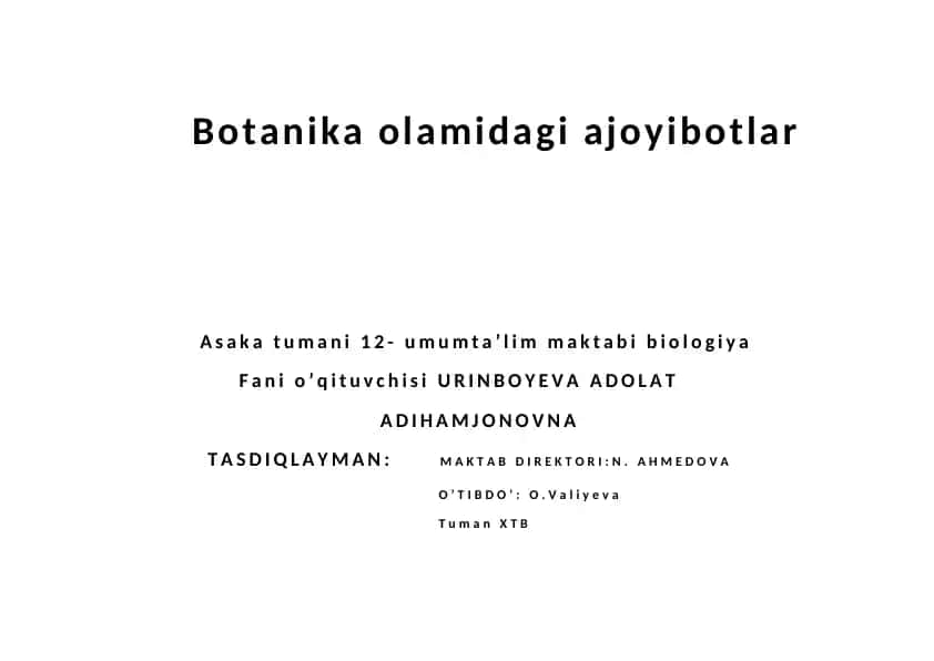 Ajdar daraxti