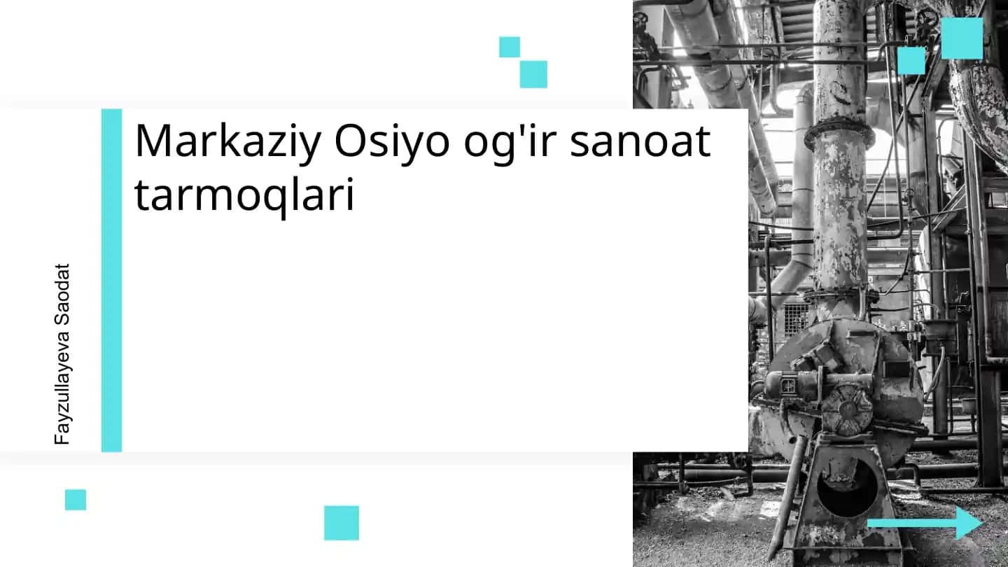 Og'ir Sanoat Tarmoqlari