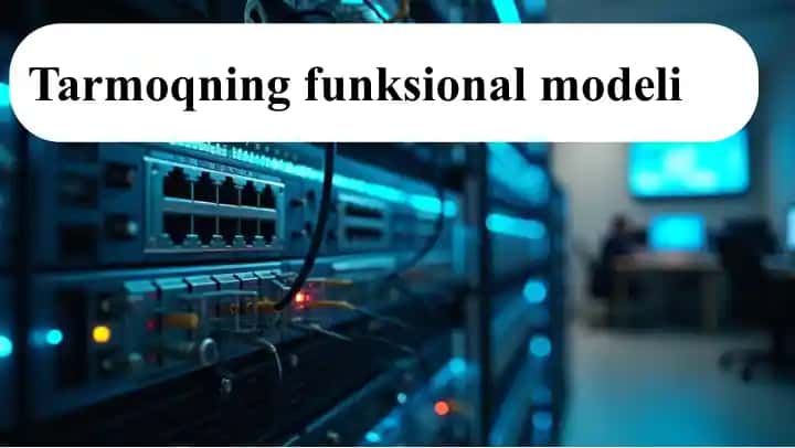 Tarmoqning funksional modeli