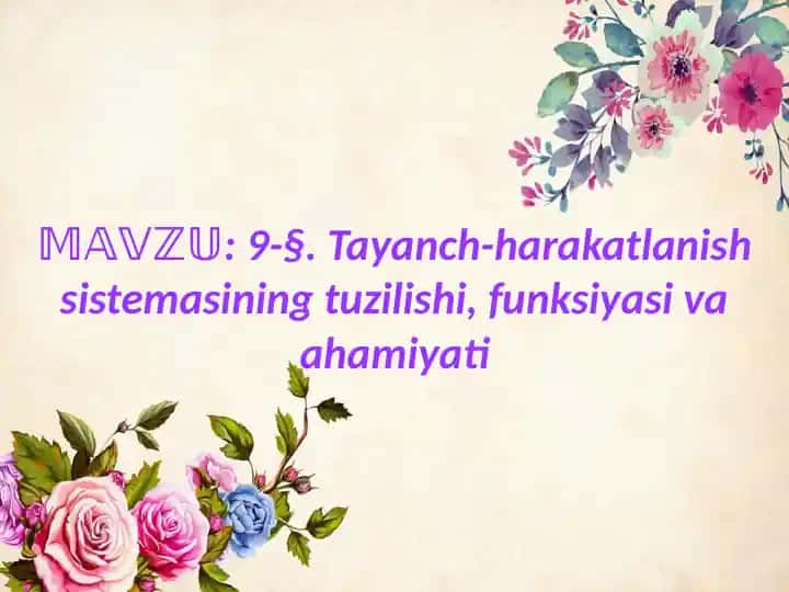 Tayanch-harakatlanish sistemasining tuzilishi, funksiyasi va ahamiyati