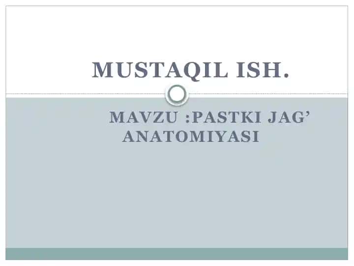 Pastki jag’ anatomiyasi