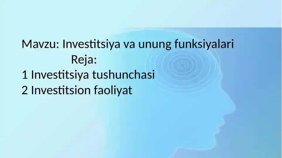 Investitsiyava unung funksiyalari
