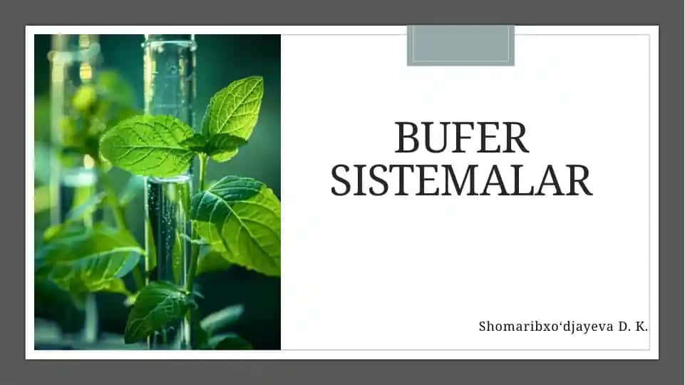 Bufersistemalar