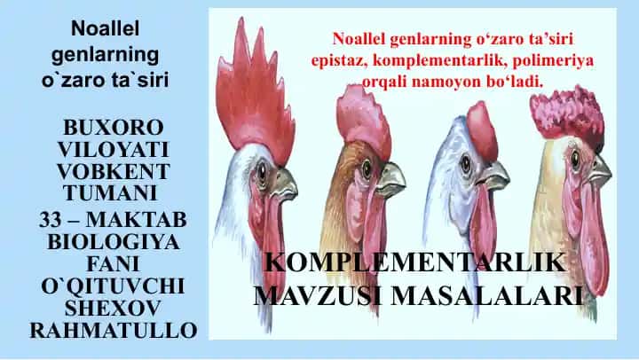 Noallel genlarning o`zaro ta`siri