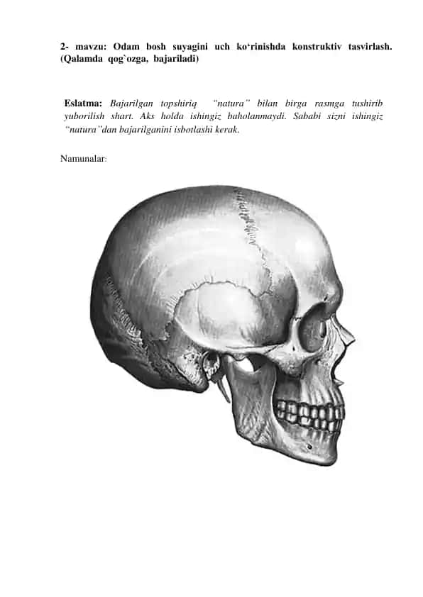 Odam bosh suyagini uch ko‘rinishda konstruktiv tasvirlash