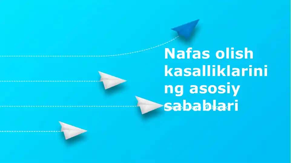 Nafas olish kasalliklarining asosiy sabablari