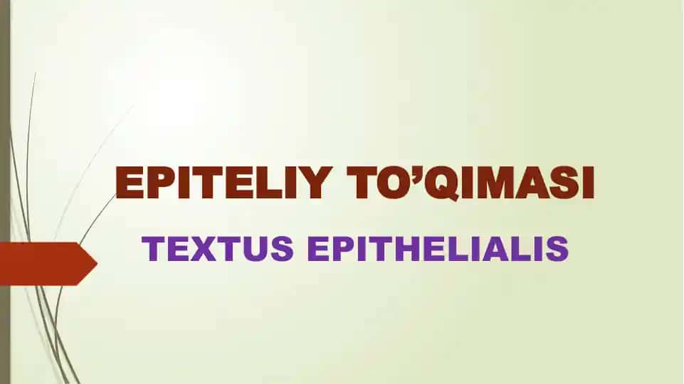 EPITELIY TO’QIMASI TEXTUS EPITHELIALIS