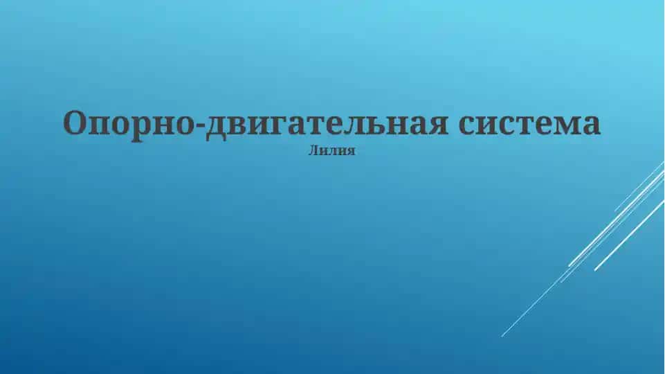 Опорно-двигательная система