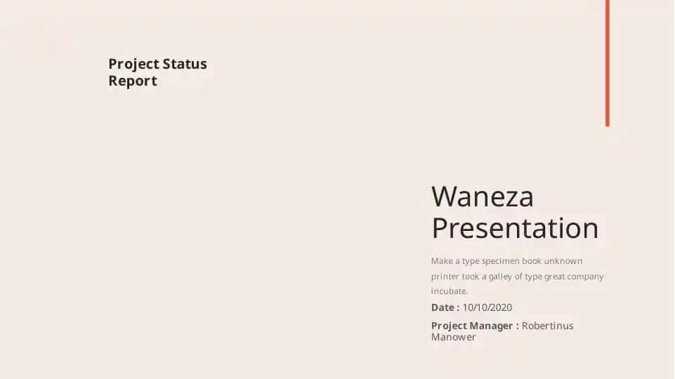 Project Status Report