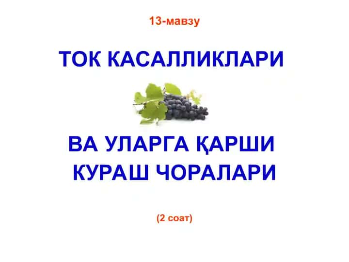 Ток Касалликлари Ва Уларга Қарши Кураш Чоралари