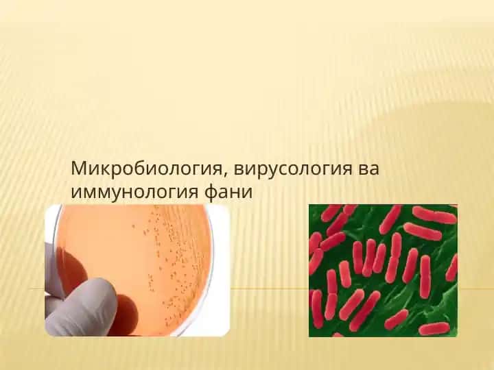 Микробиология, вирусология ва иммунология фани