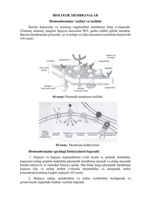 Biologik membranalar