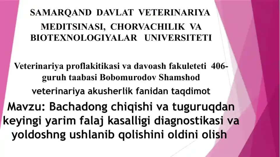 Veterinariya akusherlik fanida taqdimot