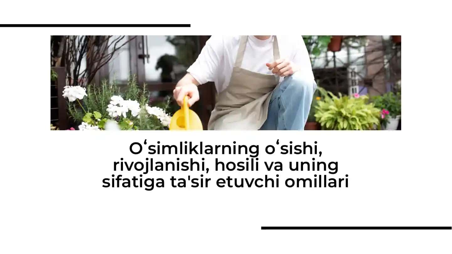 Oʻsimliklarning oʻsishi, rivojlanishi, hosili va uning sifatiga ta'sir etuvchi omillari