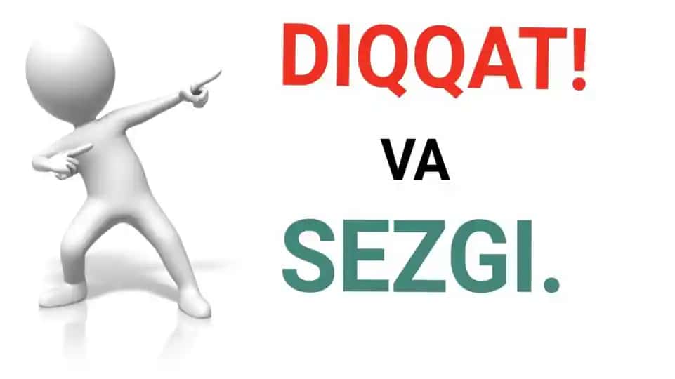 Diqqat va Sezgi