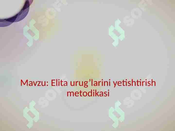 Elita urug’larini yetishtirish metodikasi