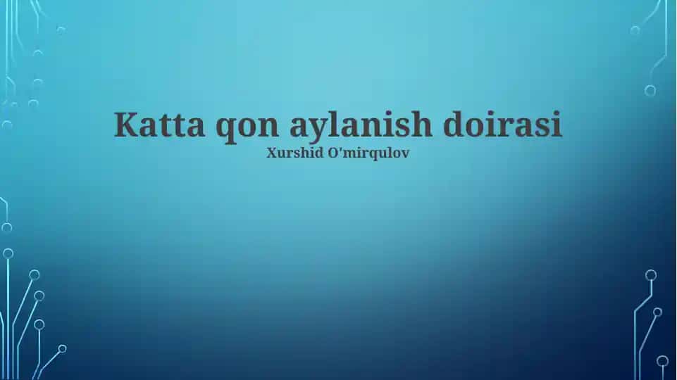 Katta qon aylanish doirasi