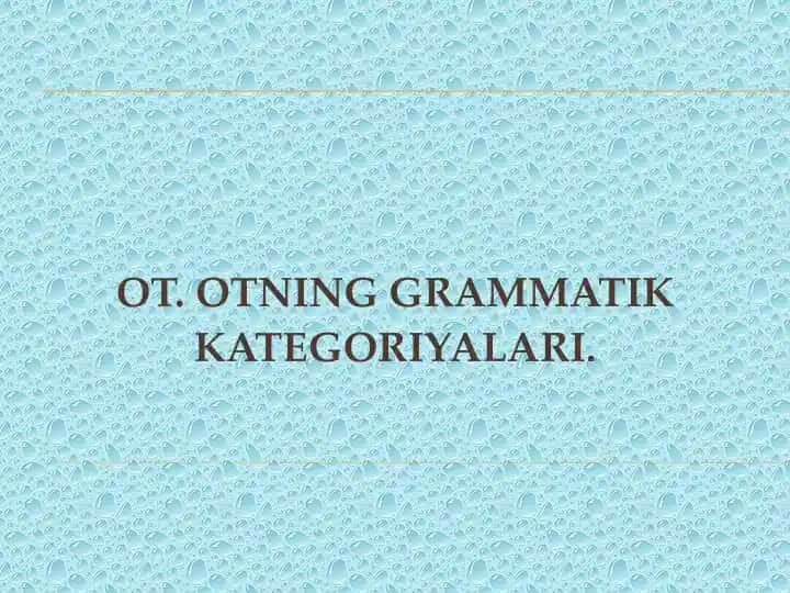 Grammatik Kategoriyalar