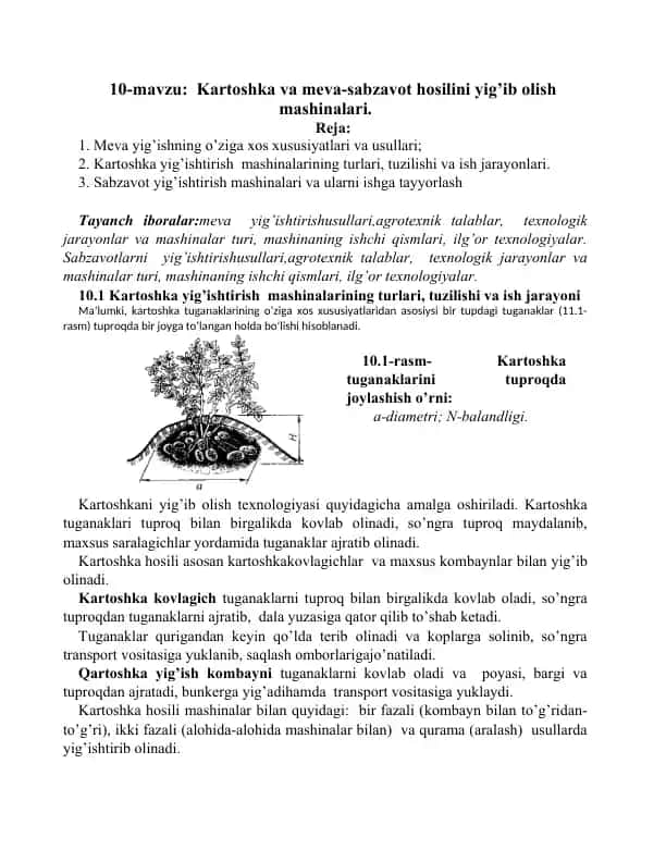Kartoshka va meva-sabzavot hosilini yig’ib olish mashinalari