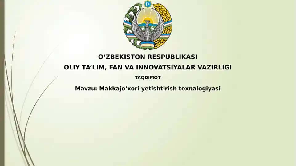 Makkajo'xori Yetishtirish Texnologiyasi