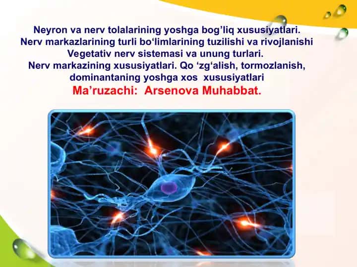 Neyron va nerv tolalarining yoshga bog’liq xususiyatlari