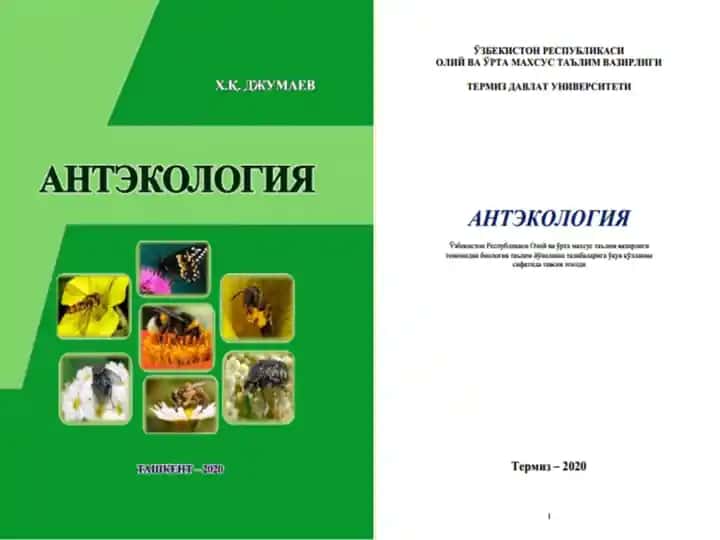 Anroxosorus